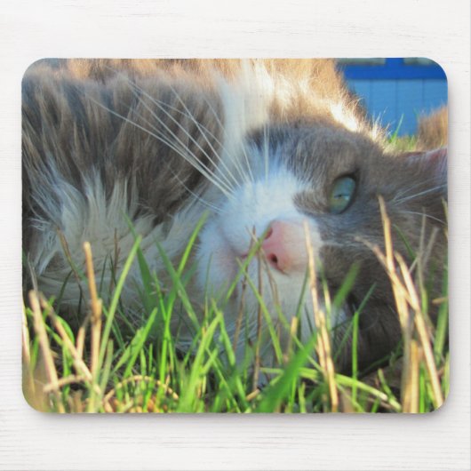 サニーキャッツサニー マウスパッド (正面)