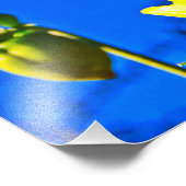 サニーサイドアップ フォトプリント            (角)