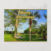 サニーサニベル島フロリダからのメリークリスマス ポストカード (正面)