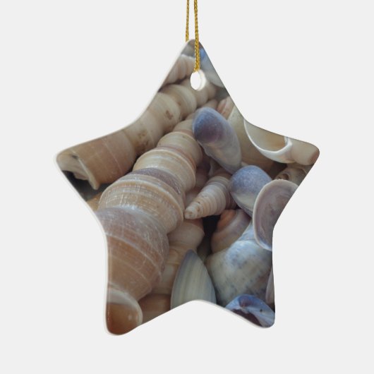 サニーサマーシェル。ロマンチックなエキゾチックな熱帯 セラミックオーナメント (右)