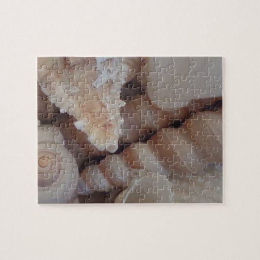 サニーサマーシーシェル、シーシェルビーチラブ ジグソーパズル (横)