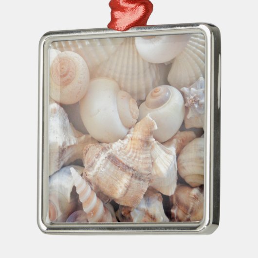 サニーサマーシーシェル、シーシェルビーチラブ メタルオーナメント (左)