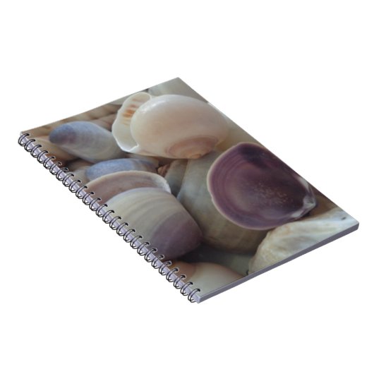 サニーサマーシーシェル、シーシェルビーチ海 ノートブック (右側)