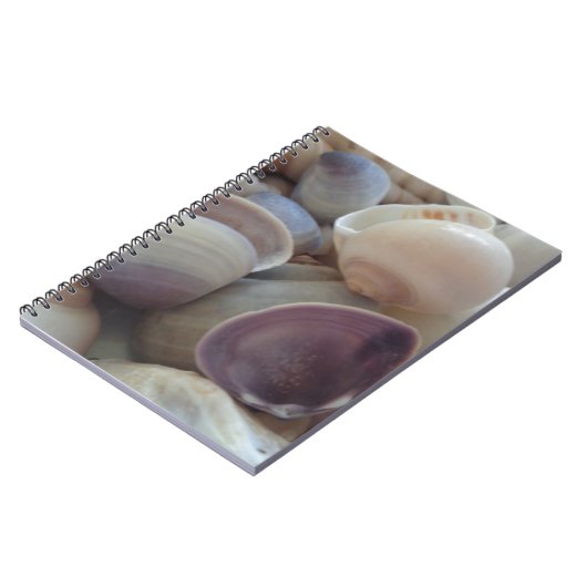 サニーサマーシーシェル、シーシェルビーチ海 ノートブック (左側)