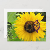 サニーサマーポストカード ポストカード (正面/裏面)