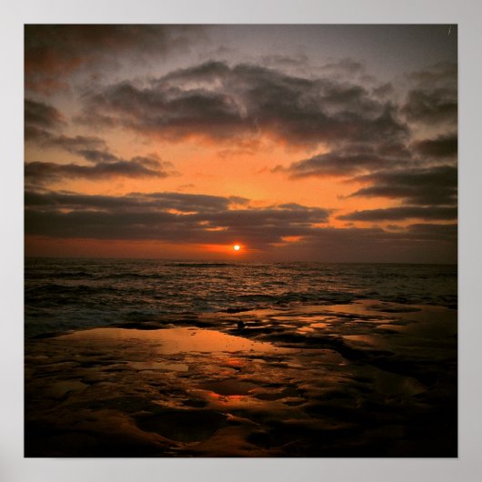 サニーサンディエゴ ポスター (正面)