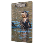 サニーシーオッター クリップボード (左)