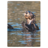 サニーシーオッター クリップボード (裏面)