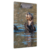 サニーシーオッター クリップボード (右)