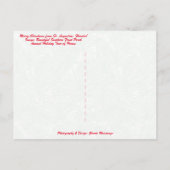 サニーセントオーガスティンフロリダからのメリークリスマス シーズンポストカード (裏面)