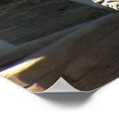 サニーゼブラ ポスター (角)