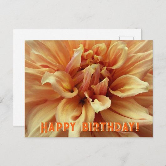 サニーダリア/ハッピーバースデーホリデーハガキ シーズンポストカード (正面/裏面)