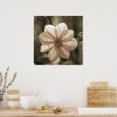 サニーダリア ポスター (キッチン)