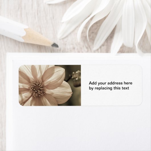 サニーダリア ラベル (インサイチュ)