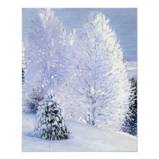 サニーデイオンザドヴィナ川 | アレクサンドル・ボリソフ フォトプリント            (正面)