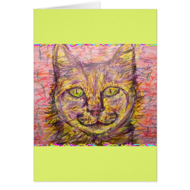 サニーデイキャットヘイ (正面)