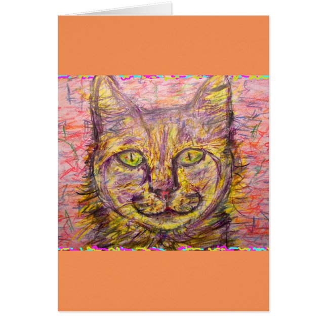 サニーデイキャット (正面)