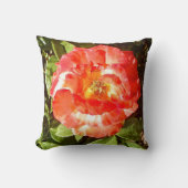 サニーデイバラ........ クッション (正面)