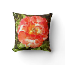 サニーデイバラ........