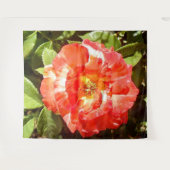 サニーデイバラ........ タペストリー (正面(横))