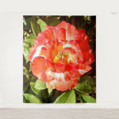 サニーデイバラ........ タペストリー (正面)