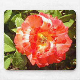 サニーデイバラ........ マウスパッド