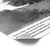 サニーデー、カリフォルニア大学サンタクルーズ ポスター (角)