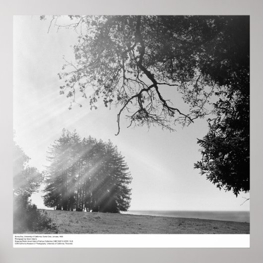 サニーデー、カリフォルニア大学サンタクルーズ ポスター (正面)