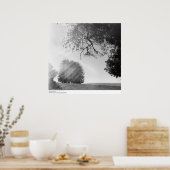 サニーデー、カリフォルニア大学サンタクルーズ ポスター (キッチン)