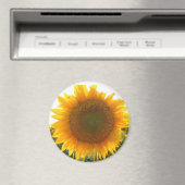 サニーハート マグネット (インサイチュ (食洗機))