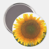 サニーハート マグネット (正面/裏面)