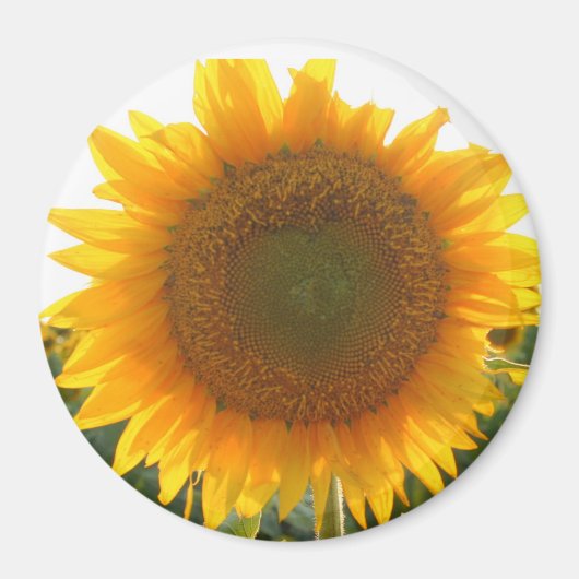 サニーハート マグネット (正面)