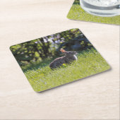 サニーバニー スクエアペーパーコースター (アングル)