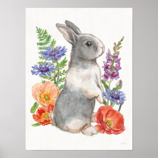 サニーバニー ポスター (正面)