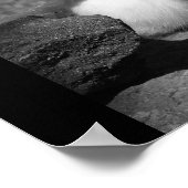 サニーバニー ポスター (角)