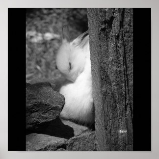 サニーバニー ポスター