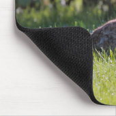 サニーバニー マウスパッド (コーナー)