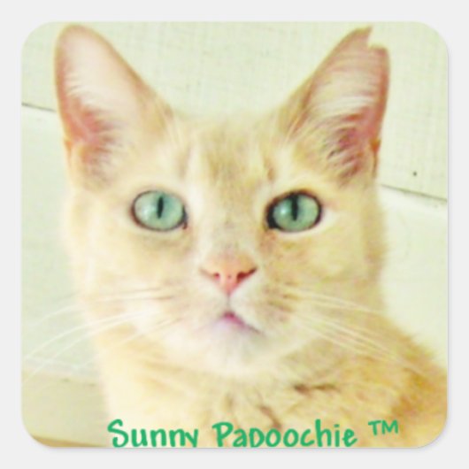 サニーパポーチステッカー スクエアシール (正面)
