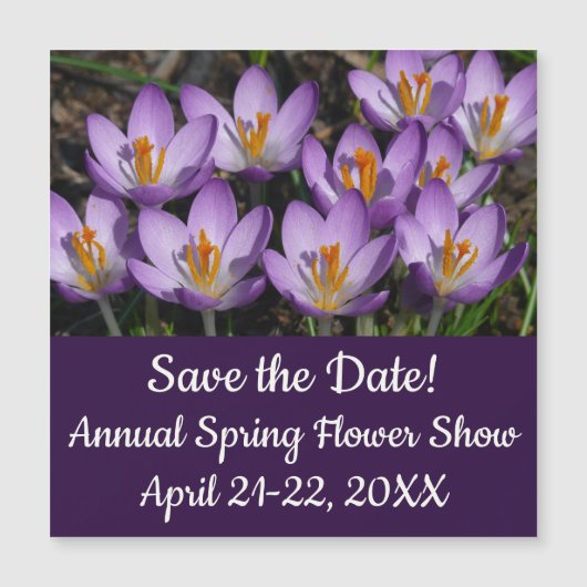 サニーパープルクロキュース (正面)