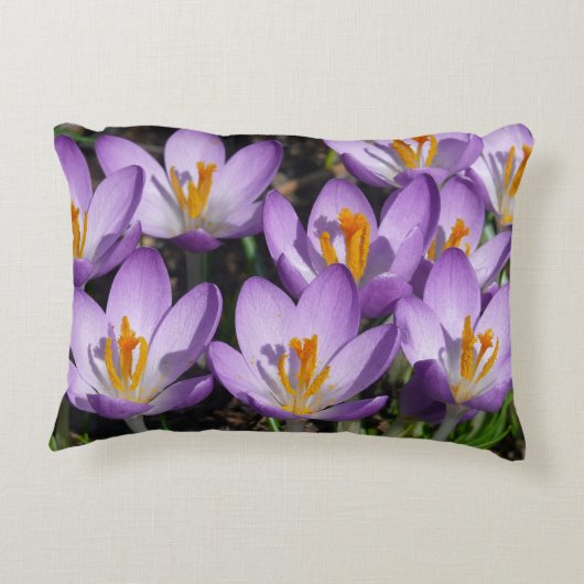 サニーパープルクロキュース アクセントクッション (裏面)