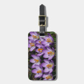 サニーパープルクロキュース ラゲッジタグ (正面縦)