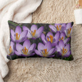 サニーパープルクロキュース ランバークッション (ブランケット)