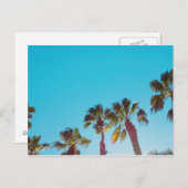 サニーパームズ ポストカード (正面/裏面)