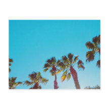 サニーパームズ