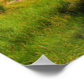 サニーヒルサイド ポスター (角)