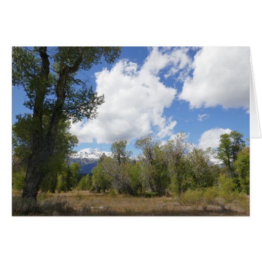 サニービューオブグランドテトンマウンテン (正面横)