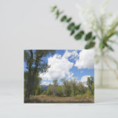 サニービューオブグランドテトンマウンテン ポストカード (スタンド正面)