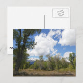 サニービューオブグランドテトンマウンテン ポストカード (正面/裏面)