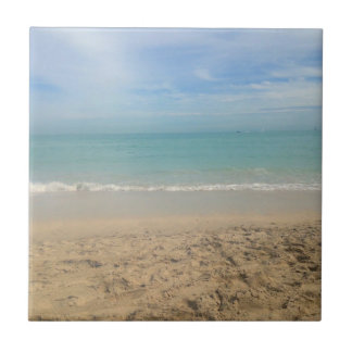 サニービーチランドスケープケープコッド タイル