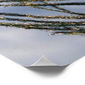 サニーピーコックフェザー ポスター (角)